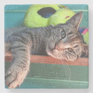 Porta-copo De Pedra Relaxando o Amor de Gato de Tigre