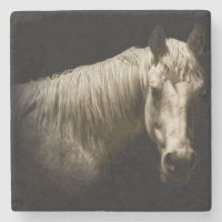 Retrato de Cavalo VI