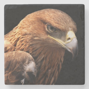 Porta-copo De Pedra Retrato de Eagle isolado no preto