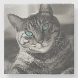 Porta-copo De Pedra Retrato de Gato Tabby Olhar Silencioso Pedra Alma