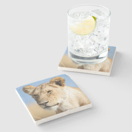 Porta-copo De Pedra Retrato de uma leoa contra a foto do céu azul