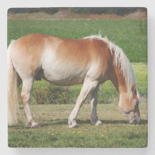 Porta-copo De Pedra Retrato do cavalo
