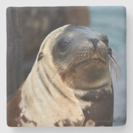 Porta-copo De Pedra Retrato do Leão do Mar