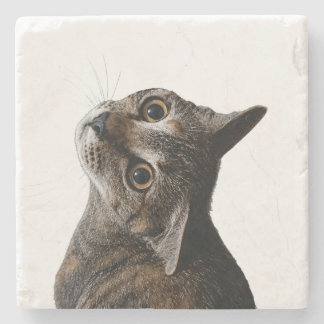 Porta-copo De Pedra Retrato Fotográfico Artístico de Gato Tabby