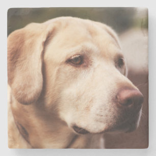 Porta-copo De Pedra Retriever Labrador