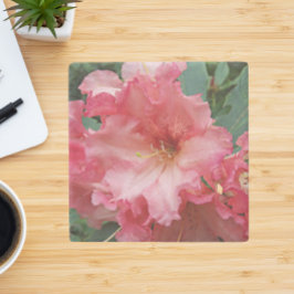 Porta-copo De Pedra Rhododendron Bloom Rosa Floral