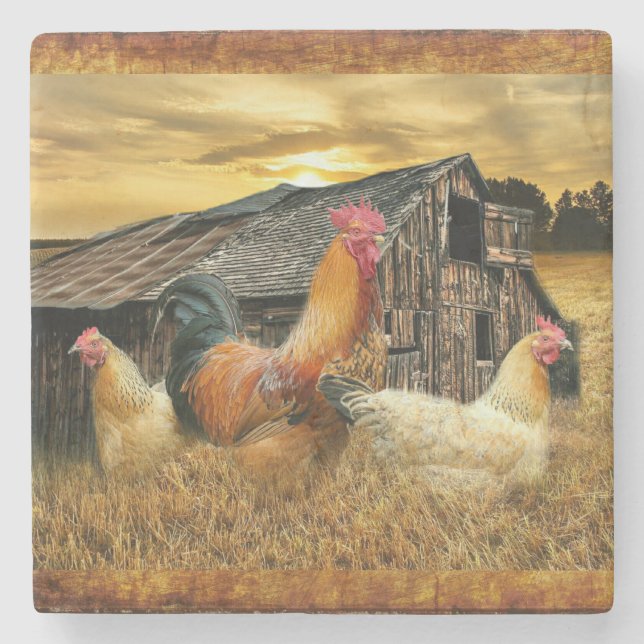 Porta-copo De Pedra Rooster Hens Russo Barn Coop (Frente)