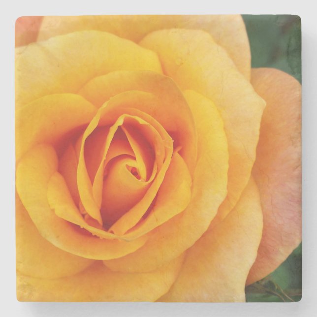 Porta-copo De Pedra rosa amarela floração (Frente)
