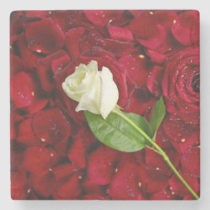 Porta-copo De Pedra Rosa branco nas pétalas vermelhas