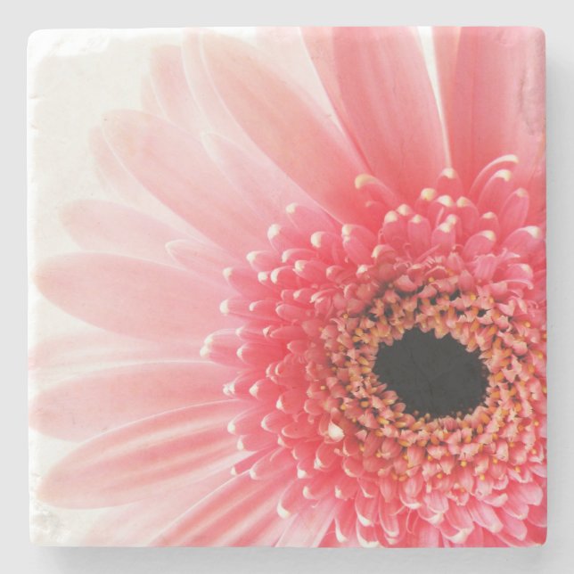Porta-copo De Pedra Rosa Gerbera Daisy (Frente)