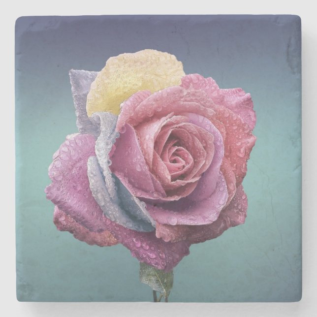 Porta-copo De Pedra Rosa multicolor (Frente)