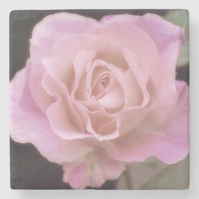 Porta-copo De Pedra Rosa rosa magnífica (Frente)