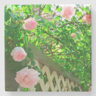 Porta-copo De Pedra Rosas cor-de-rosa e alcatifa - Vinha de Martha
