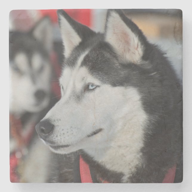 Porta-copo De Pedra Rouco antes de uma corrida, Canadá (Frente)