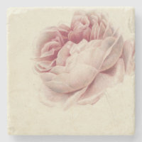 Roze Roos (1792) – Arte Botânica Vintage Atemporal