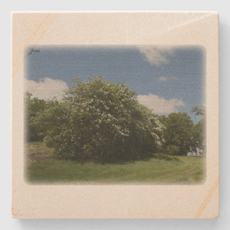 Porta-copo De Pedra Rural Sweden June