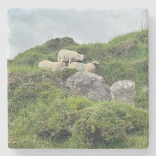 Porta-copo De Pedra Rustic Ireland Three Irish Sheep