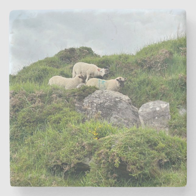 Porta-copo De Pedra Rustic Ireland Three Irish Sheep (Frente)