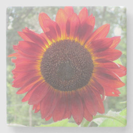 Porta-copo De Pedra Rusty Red Sunflower