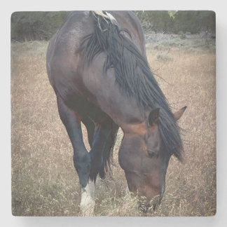 Porta-copo De Pedra S Steens Coaster