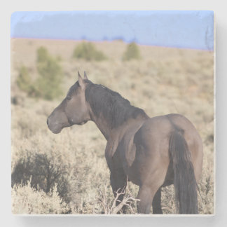 Porta-copo De Pedra S Steens Stone Coaster