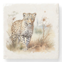 Safari de Animais Leopardo