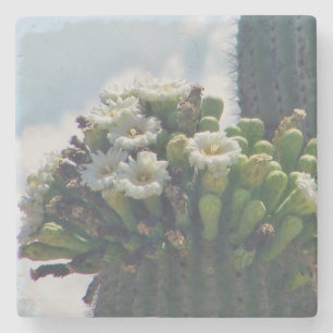 Porta-copo De Pedra Saguaro cactus floroms