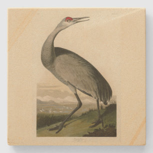 Porta-copo De Pedra Sandhill Crane das Aves da América de Audubon
