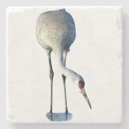 Porta-copo De Pedra Sandhill Crane Photo Stone Coaster