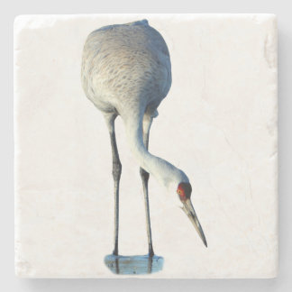 Porta-copo De Pedra Sandhill Crane Photo Stone Coaster