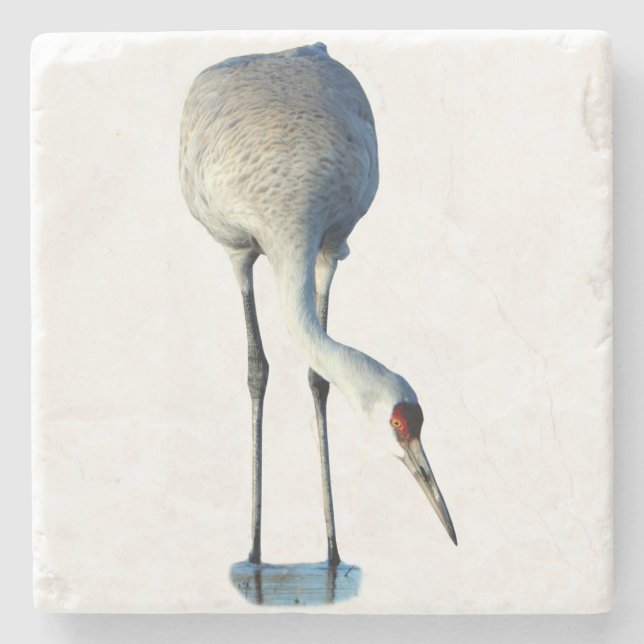 Porta-copo De Pedra Sandhill Crane Photo Stone Coaster (Frente)