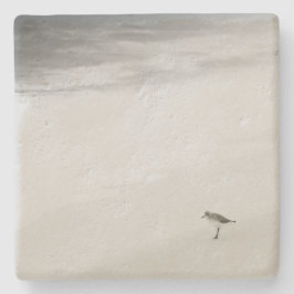 Porta-copo De Pedra Sandpiper costeiro na praia