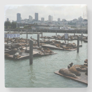 Porta-copo De Pedra São Francisco e Pier 39 Sea Lions City Skyline