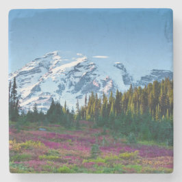 Porta-copo De Pedra scape da montanha