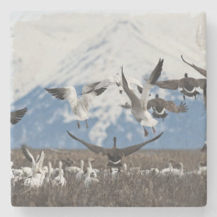 Porta-copo De Pedra Scattering Geese