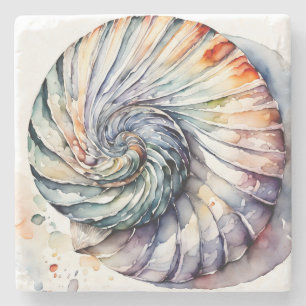 Porta-copo De Pedra Seashell Shell Nautilus Design 357 Watercolor