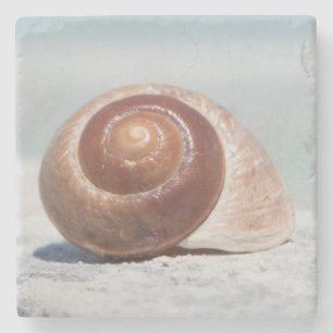 Porta-copo De Pedra Seashell St Petersburg, Florida