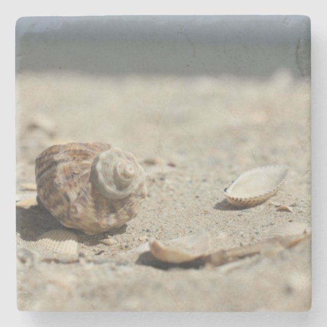 Porta-copo De Pedra Seashells na areia pelo mar (Frente)