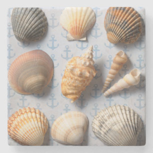 Porta-copo De Pedra Seashells no contexto da âncora