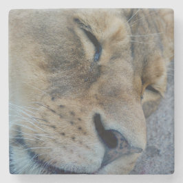 Porta-copo De Pedra Sentir a leoa