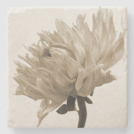 Porta-copo De Pedra sepia dahlia