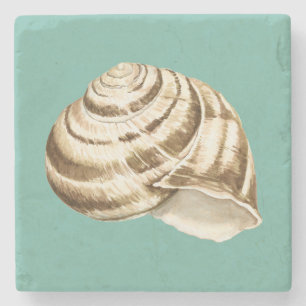 Porta-copo De Pedra Sepia Striped Shell em Teal