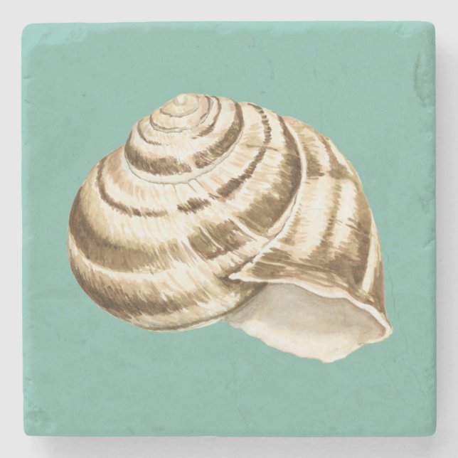 Porta-copo De Pedra Sepia Striped Shell em Teal (Frente)