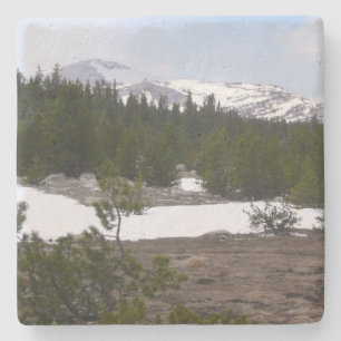 Porta-copo De Pedra Serra Nevada e neve em Yosemite