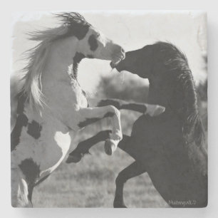 Porta-copo De Pedra Shaman, porta copos selvagem do garanhão do chapéu