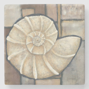 Porta-copo De Pedra Shell Abalone