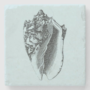Porta-copo De Pedra Shell Aqua Conch