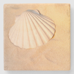 Porta-copo De Pedra Shell que coloca na areia