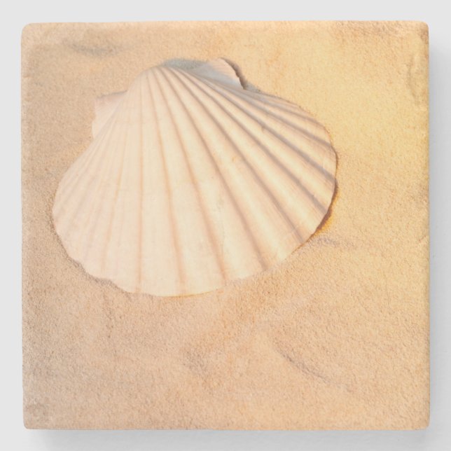 Porta-copo De Pedra Shell que coloca na areia (Frente)