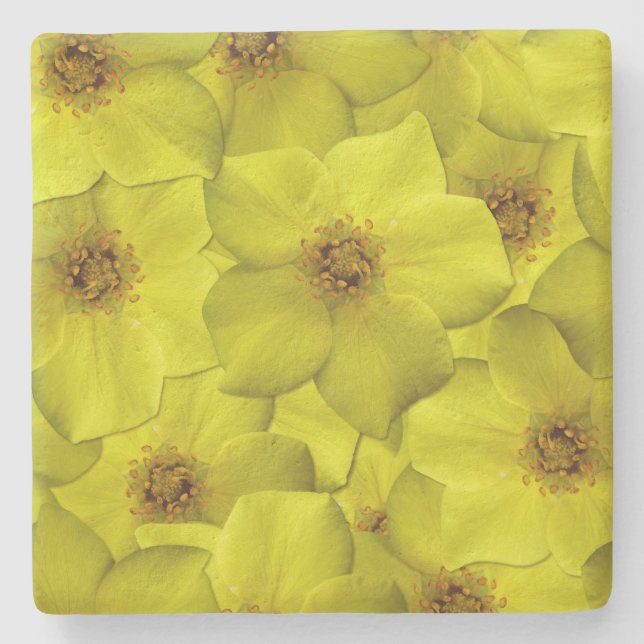 Porta-copo De Pedra Shrubby Cinquefoil Padrão Sem Costura (Frente)